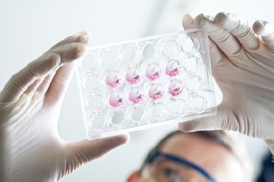 Researchers take another step toward finding a cure for HIV