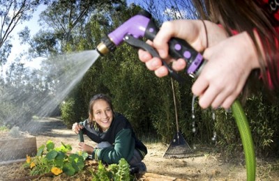 Vegetable gardens can be watered with treated stormwater