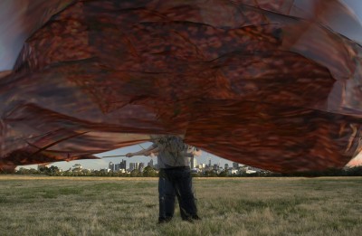 Nardoo Flag Wave by Tom Nicholson