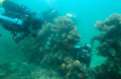 Divers on the Clarence shipwreck (photo courtesy of Heritage Victoria)