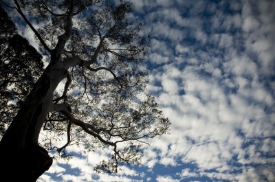 The carbon tax could prompt us to reflect on our habits and change our ways.